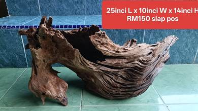 Malaysian driftwood kayu antik