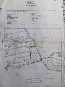 Agricultural Land in Bandar Baharu, KDH