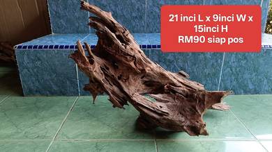 driftwood kayu hiasan aquascape planted tank 