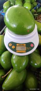 fresh avocado (Qav 1)