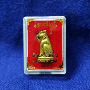 Tiger bite money rich talisman thai amulet
