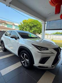 Lexus NX 300 PREMIUM in Batu Berendam, MLK