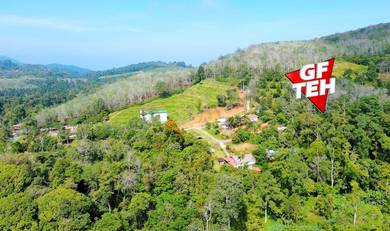 Agricultural Land in Pengkalan Hulu, PRK