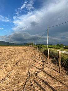 Agricultural Land in Padang Terap, KDH