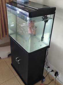 Complete 2ft Aquarium with Stand and Light 