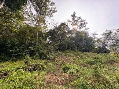 Agricultural Land in Bentong, PHG