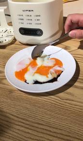 Wholesale Electric Egg Cooker Supplier MY