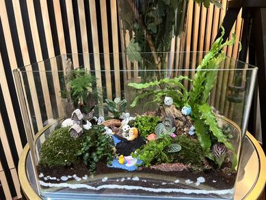 Mini Garden Terrarium Premium – Rare & Aesthetic