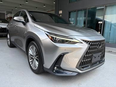 2023 Lexus NX 250 LUXURY