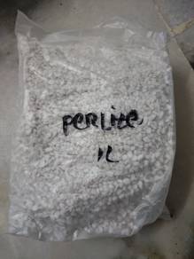 Batu Perlite Hiasan Tanaman Batu bonsai