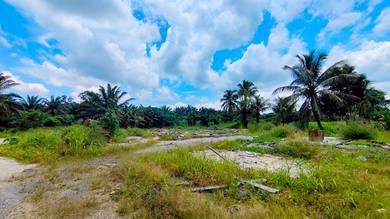 Agricultural Land in Kota Samarahan, SWK