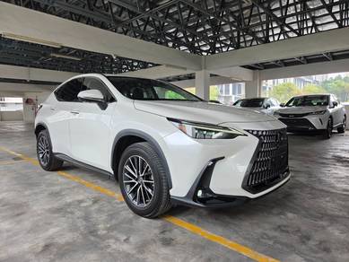 2022 Lexus NX 250 LUXURY