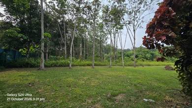 Agricultural Land in Beranang, SGR