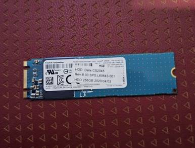 250GB M.2 NVMe SSD