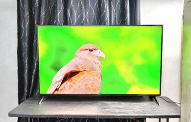 Smart TV Panasonic 55 inch 4K Led