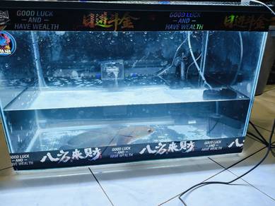 Full set akuarium 2 kaki