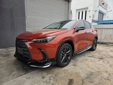 Lexus NX 250 LUXURY in Sungai Besi, KUL