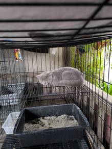 BSH for sale
