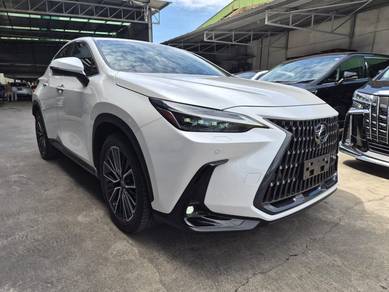2023 Lexus NX 250 LUXURY