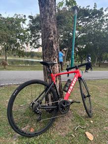 roadbike camp impala x