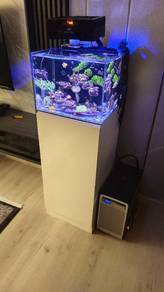 Reef Tank Set