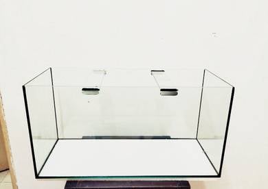 2ft aquarium, reptile.
