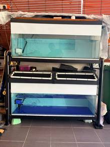 Fish Tank