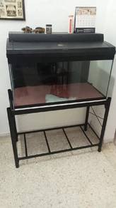 Used Aquarium Fish Tank with Black Metal Stand & H