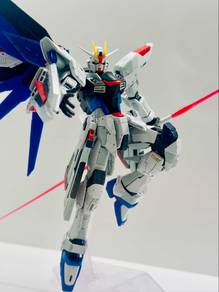 RG GCP freedom
