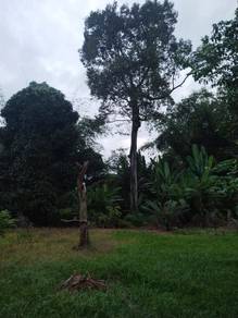 Bungalow House For Sale in Senawang,NSN