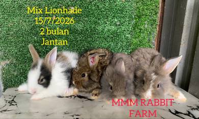Mix Lionhade