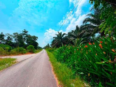 Agricultural Land in Pontian, JHR