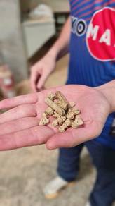 Wood Pellet Cat Litter Bedding