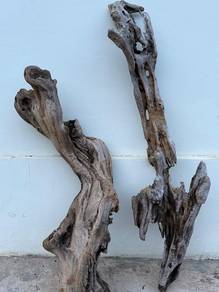 Driftwood Kayu Hanyut