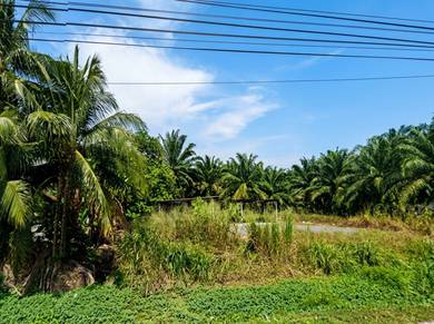 Agricultural Land in Banting, SGR