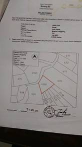 Residential Land in Lenggong, PRK