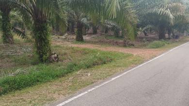 Agricultural Land in Parit Jawa, JHR
