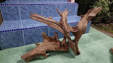 kayu landscape kolam akuarium Malaysian Driftwood