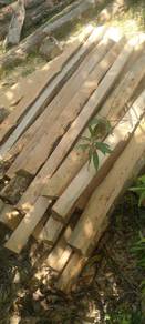 kayu Pagar tembesu