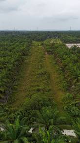 Agricultural Land in Ayer Tawar, PRK