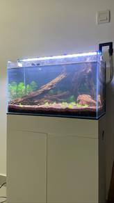 Aquarium 2ft for sell