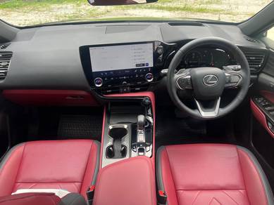 2024 Lexus NX 250 VERSION L