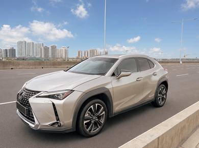 Lexus UX 200 LUXURY in Georgetown, PNG