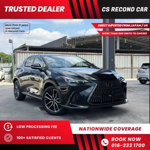 Lexus NX 250 LUXURY in Chan Sow Lin, KUL