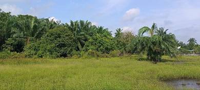 Residential Land in Sepang, SGR
