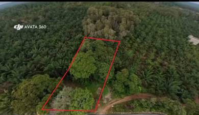 Agricultural Land in Telok Kemang, NSN
