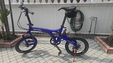 Birdy Folding Bike 