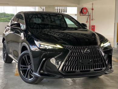 Lexus NX 250 LUXURY in Desa Petaling, KUL