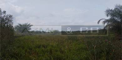 Agricultural Land in Ayer Hitam, JHR