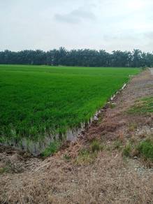 Agricultural Land in Sekinchan, SGR